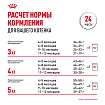Royal Canin Persian Kitten Корм сухой сбалансированный для персидских котят (до 12 месяцев), 10 кг